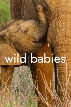 watch-Wild Babies