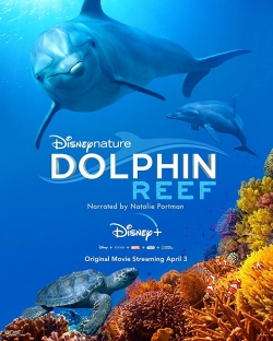 watch-Dolphin Reef