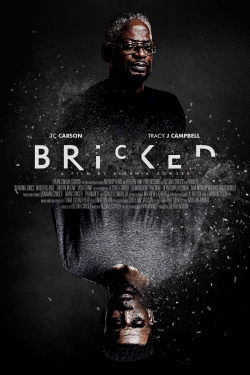 watch-Bricked