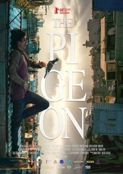 watch-The Pigeon