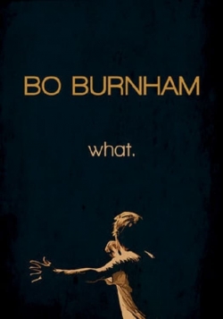 watch-Bo Burnham: What.