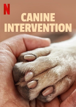 watch-Canine Intervention