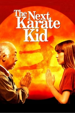 watch-The Next Karate Kid