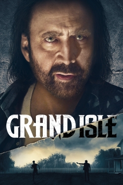 the grandmaster full movie online free