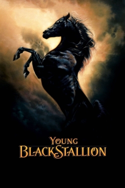 watch-Young Black Stallion