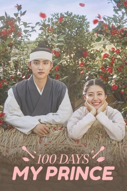 watch-100 Days My Prince