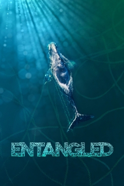 watch-Entangled: The Race to Save Right Whales from Extinction