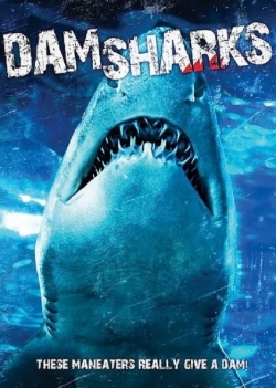 watch-Dam Sharks!