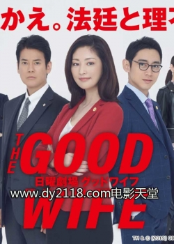 watch-The Good Wife