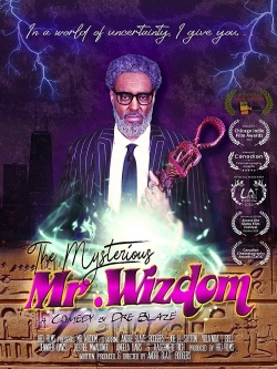 watch-The Mysterious Mr. Wizdom