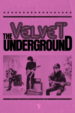 watch-The Velvet Underground
