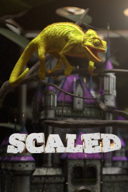 watch-Scaled