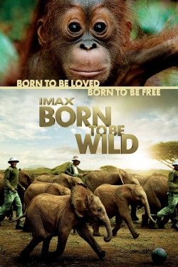 watch-Born to Be Wild