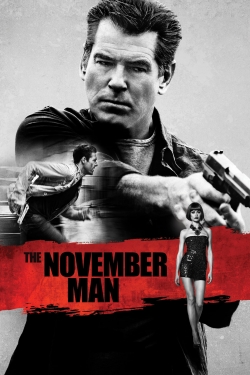 watch-The November Man