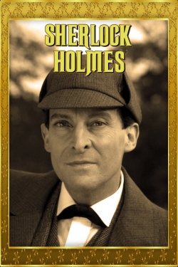 watch-Sherlock Holmes