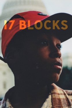 watch-17 Blocks