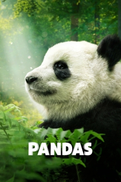 watch-Pandas