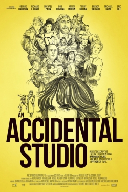 watch-An Accidental Studio