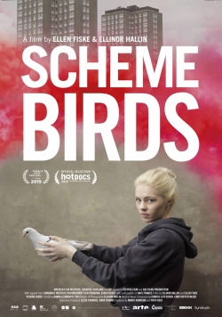 watch-Scheme Birds