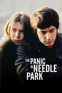 watch-The Panic in Needle Park