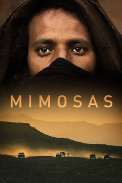 watch-Mimosas