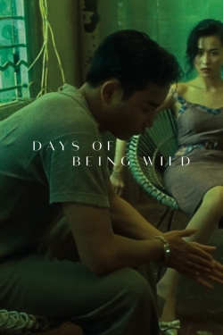 watch-Days of Being Wild
