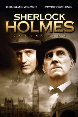 watch-Sherlock Holmes
