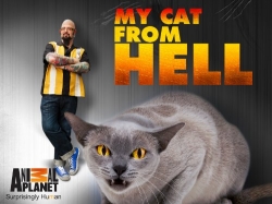 watch-My Cat from Hell