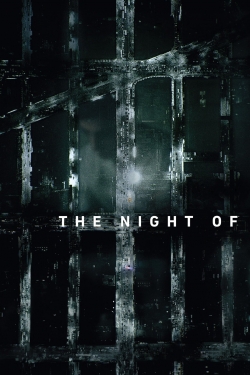 watch-The Night Of