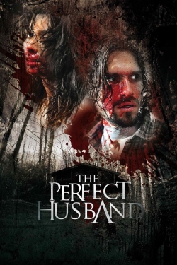 watch-The Perfect Husband