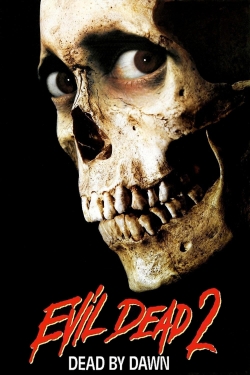 watch-Evil Dead II
