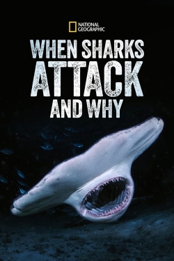 watch-When Sharks Attack... and Why