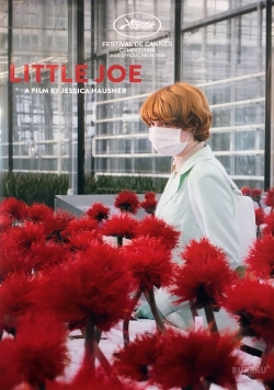 watch-Little Joe