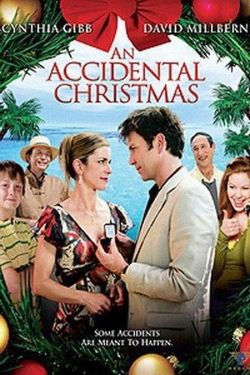 watch-An Accidental Christmas