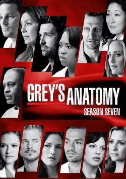 Grey's Anatomy - Season 7