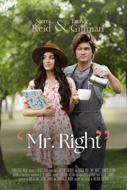 watch-Mr. Right