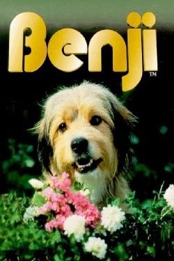 watch-Benji