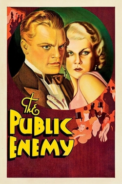 watch-The Public Enemy