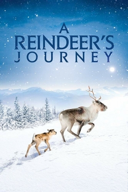 watch-A Reindeer's Journey