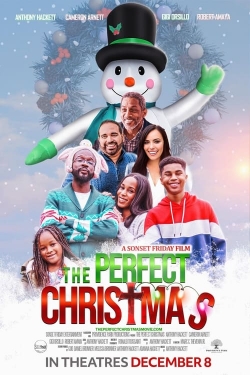 watch-The Perfect Christmas