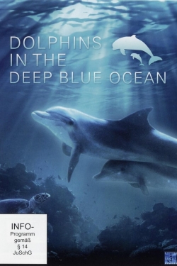 watch-Dolphins in the Deep Blue Ocean