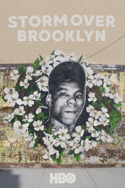 watch-Yusuf Hawkins: Storm Over Brooklyn