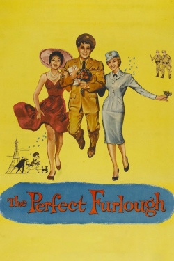 watch-The Perfect Furlough