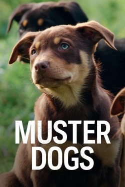 watch-Muster Dogs