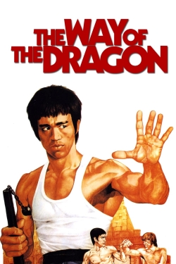 watch-The Way of the Dragon