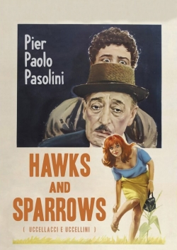 watch-Hawks and Sparrows