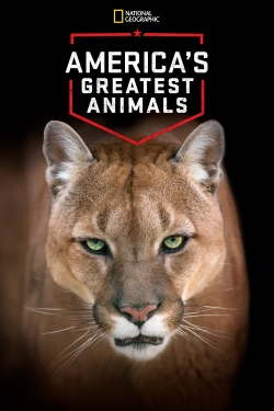 watch-America's Greatest Animals