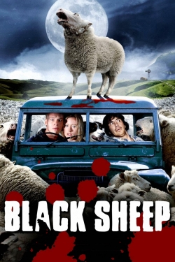 watch-Black Sheep