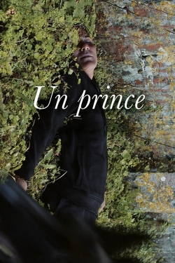 watch-A Prince