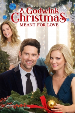 watch-A Godwink Christmas: Meant For Love